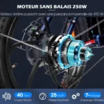Fat Bike Électrique Pliant 500 Watts – Image 6
