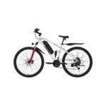 VAE Homme avec Batterie Amovible – Image 2