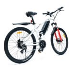 VAE Homme avec Batterie Amovible