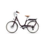 Vélo Électrique Vintage pour Homme