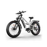 VTC Électrique pour Homme – Image 2
