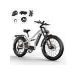 VTC Électrique pour Homme