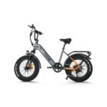 VELO HOMME
