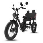 Tricycle Électrique Fat Bike