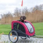 Vélo Électrique avec Remorque Intégrée pour Chien – Image 7