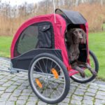 Vélo Électrique avec Remorque Intégrée pour Chien – Image 8